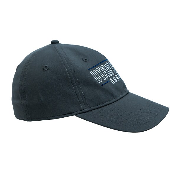 Utah State, Aggies, Cap, Hat, Champion, Gray